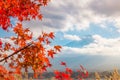 Colorful autumn season & Mountain Fuji in morning fog and red leaves at lake Kawaguchiko, Japan Royalty Free Stock Photo