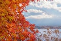 Colorful autumn season Royalty Free Stock Photo