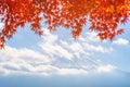 Colorful autumn season Royalty Free Stock Photo