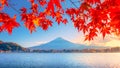 Colorful Autumn Season and Mountain Fuji with morning fog and red leaves at lake Kawaguchiko is one of the best places in Japan Royalty Free Stock Photo