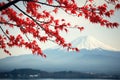 Colorful autumn season and Mountain Fuji with red maple leaves at lake Kawaguchiko in Japan Royalty Free Stock Photo