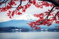 Colorful autumn season and Mountain Fuji with red maple leaves at lake Kawaguchiko in Japan Royalty Free Stock Photo