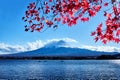 Colorful Autumn Season and Mountain Fuji with Snow capped peak and red leaves at lake Kawaguchiko is one of the best places in