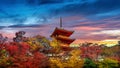 Colorful of autumn season and red pagoda at sunset in Kyoto, Japan Royalty Free Stock Photo