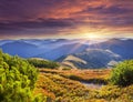 Colorful autumn sunrise in Carpathian mountains. Royalty Free Stock Photo