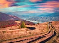 Colorful autumn sunrise in the Carpathian mountains.