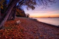 Colorful Autumn Sunrise at Stanley Park Royalty Free Stock Photo