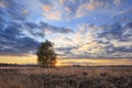 Colorful autumn sunset scenery at a tranquil moorland, Goirle, Netherlands