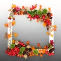 Colorful Autumn Thanksgiving Fall Nature Background Border