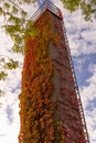 Colorful autumn three-leaf creeper Parthenocissus tricuspidata on an old chimney with blue sky background and tree leaves Royalty Free Stock Photo