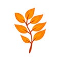 Colorful autumn tree leaf. Vector illustration.