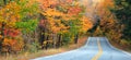 Autumn trees along scenic route in New Hampshire
