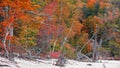 Autumn trees along the shore of Lake Superior in Michigan Royalty Free Stock Photo