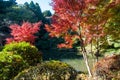 Colorful autumn trees around the pond