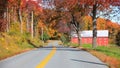 Autumn trees by asphalt road in rural Vermont Royalty Free Stock Photo