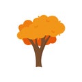 Colorful autumn trees. Cartoon yellow orange fall tree and autumnal garden bush icon with fall season gold leaves for city park Royalty Free Stock Photo