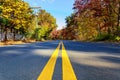 Colorful autumn trees with fallen leaves a winding road Royalty Free Stock Photo