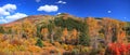 Colorful autumn trees at the foot hill of Colorado rocky mountains