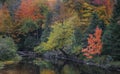 Colorful autumn trees and its reflection in water along Dead river in Michigan Upper peninsula