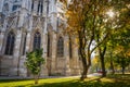 Colorful Autumn Trees Lit By The Sun In Front Of Gothic Facade Of Famous Votivkirche Church In Vienna
