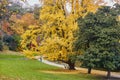 Colorful autumn trees in Montsouris park, Paris, Royalty Free Stock Photo