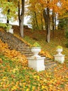 Colorful autumn trees and old stairs, Lithuania Royalty Free Stock Photo