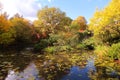 Colorful autumn trees and pond in park