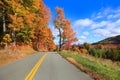 Colorful autumn trees by the rural road in Vermont Royalty Free Stock Photo