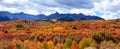 Colorful autumn trees in San Juan mountains