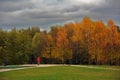 Autumn trees in Tsaritsyno park in Moscow. Royalty Free Stock Photo