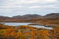 Colorful autumn tundra in front of lake in Liinahamari. Royalty Free Stock Photo