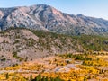 Colorful autumn valley in the Sierra Nevada mountains Royalty Free Stock Photo