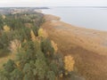 Colorful autumn view - lake with reeds and forest view from drone Royalty Free Stock Photo