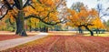 Colorful autumn view of Muskau Park, UNESCO World Heritage Site. Impressive morning scene of Bad Muskau town square, Upper Lusatia Royalty Free Stock Photo