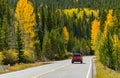 Autumn Mountain Road - Squaw Pass Road