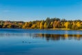 Colorful Autumn In Voderady Beechwood, Czechia