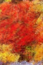 Colorful Autumn Woods With foliage abstract