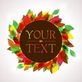 Colorful autumnal background for your text