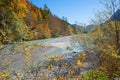 Colorful autumnal landscape, rissbach river at karwendel valley, austria Royalty Free Stock Photo
