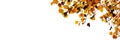 Colorful autumnal leaves on white panoramic background. Autumn web banner Royalty Free Stock Photo