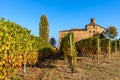 Colorful autumnal vineyards under blue sky in Barolo, Italy. Royalty Free Stock Photo