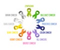 Colorful awareness ribbons over white background. vector