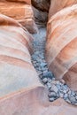 Colorful Aztec Sandstone Mojave Desert Wash