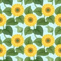 Colorful backdrop with sunflowers seamless pattern on blue background. Royalty Free Stock Photo