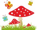 Colorful background with butterfly and amanita