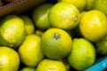 Colorful background of fresh picked, seasonal bright green lime citrus exotic fruit Royalty Free Stock Photo