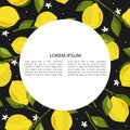 Colorful background, lemons, flowers and place for text. Decorative backdrop, citrus fruits