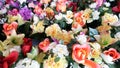 Colorful Background made with fresh spring Mixed Flowers Royalty Free Stock Photo