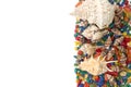 Colorful background made of shells isolated Royalty Free Stock Photo