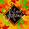 Colorful background with maple leaves and lettering Hello Autumn Royalty Free Stock Photo